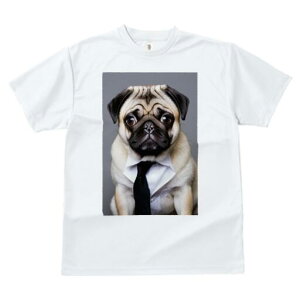 pO TVc fB[X t@  t  vg JWA 킢 lԗp h ̃fUC ʔ lN^C pO Vc