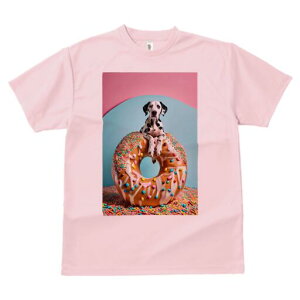 _VA TVc fB[X t@  t  vg JWA 킢 lԗp h ̃fUC ʔ h[ic _VA XvN XC[c fU[g