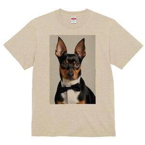 ~j`AsV[ TVc fB[X t@  t  vg JWA 킢 lԗp h ̃fUC ʔ lN^C ~j`AsV[ Vc