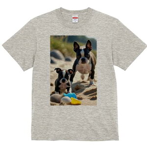 {XgeA TVc fB[X t@  t  vg JWA 킢 lԗp h ̃fUC ʔ r[` {XgeA  Lk 