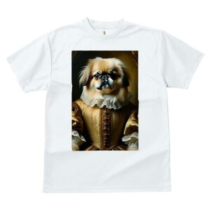 yLj[Y TVc fB[X t@  t  vg JWA 킢 lԗp h ̃fUC ʔ ё yLj[Y lTX ߑ [X