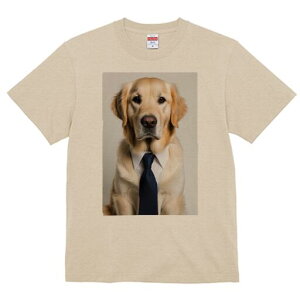 S[fgo[ TVc fB[X t@  t  vg JWA 킢 lԗp h ̃fUC ʔ lN^C S[fgo[ CVc