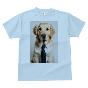 ゴールデンレトリバー Tシャツ レディース 犬ファン 半袖 春夏 犬柄 プリント カジュアル かわいい 人間用 個性派 ここだけのデザイン 面白 ネクタイ ゴールデンレトリバー ワイシャツ