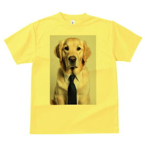 S[fgo[ TVc fB[X t@  t  vg JWA 킢 lԗp h ̃fUC ʔ lN^C S[fgo[ CVc