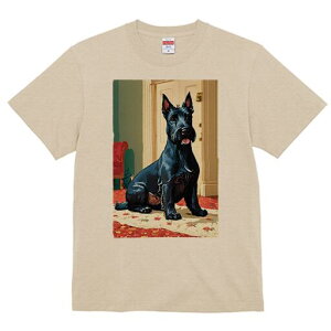 WCAgViEU[ TVc fB[X t@  t  vg JWA 킢 lԗp h ̃fUC ʔ hA WCAgViEU[  J[y