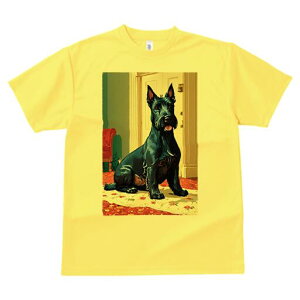 WCAgViEU[ TVc fB[X t@  t  vg JWA 킢 lԗp h ̃fUC ʔ hA WCAgViEU[  J[y