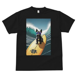 XReBbVeA TVc fB[X t@  t  vg JWA 킢 lԗp h ̃fUC ʔ T[tB XReBbVeA g C TO