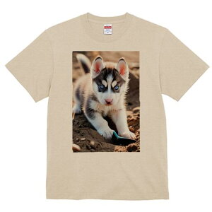 nXL[ TVc fB[X t@  t  vg JWA 킢 lԗp h ̃fUC ʔ 킢 nXL[ q  