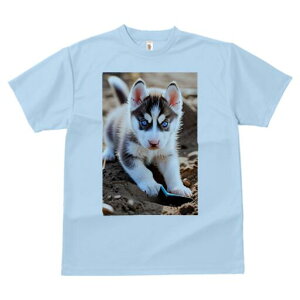 nXL[ TVc fB[X t@  t  vg JWA 킢 lԗp h ̃fUC ʔ 킢 nXL[ q  