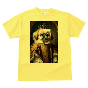 yLj[Y TVc fB[X t@  t  vg JWA 킢 lԗp h ̃fUC ʔ  yLj[Y  ё ߑ