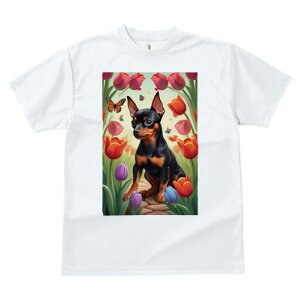 ~j`AsV[ TVc fB[X t@  t  vg JWA 킢 lԗp h ̃fUC ʔ `[bv ~j`AsV[ 