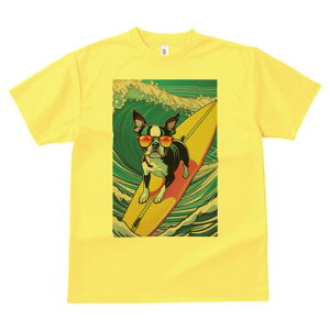 {XgeA TVc fB[X t@  t  vg JWA 킢 lԗp h ̃fUC ʔ T[tB {XgeA g TOX 