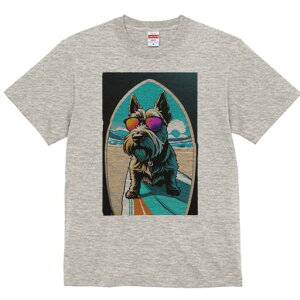 PA[eA TVc fB[X t@  t  vg JWA 킢 lԗp h ̃fUC ʔ T[t{[h PA[eA C r[` TOX