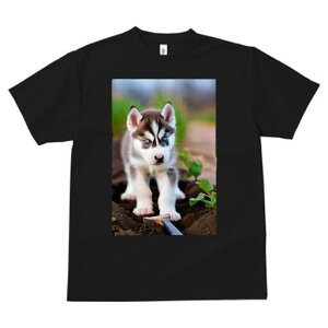 nXL[ TVc fB[X t@  t  vg JWA 킢 lԗp h ̃fUC ʔ y nXL[  A |