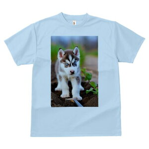 nXL[ TVc fB[X t@  t  vg JWA 킢 lԗp h ̃fUC ʔ y nXL[  A |