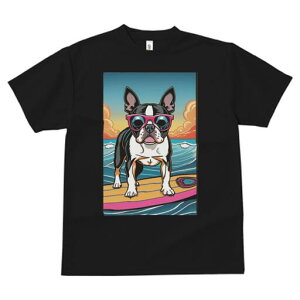 {XgeA TVc fB[X t@  t  vg JWA 킢 lԗp h ̃fUC ʔ TOX {XgeA T[tB C 