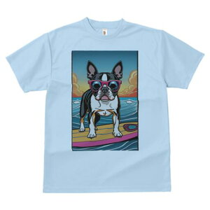 {XgeA TVc fB[X t@  t  vg JWA 킢 lԗp h ̃fUC ʔ TOX {XgeA T[tB C 