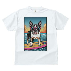 {XgeA TVc fB[X t@  t  vg JWA 킢 lԗp h ̃fUC ʔ TOX {XgeA T[tB C 