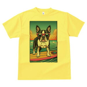 {XgeA TVc fB[X t@  t  vg JWA 킢 lԗp h ̃fUC ʔ TOX {XgeA T[tB C 