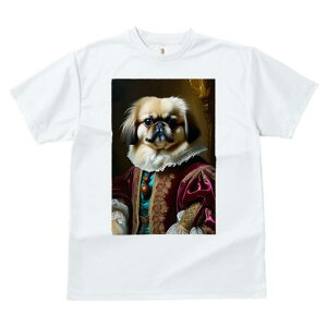 yLj[Y TVc fB[X t@  t  vg JWA 킢 lԗp h ̃fUC ʔ ё yLj[Y M ߑ lTX