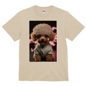 gCv[h TVc fB[X t@  t  vg JWA 킢 lԗp h ̃fUC ʔ wi gCv[h 