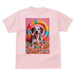 _VA TVc fB[X t@  t  vg JWA 킢 lԗp h ̃fUC ʔ h[ic _VA XC[c LfB Jt