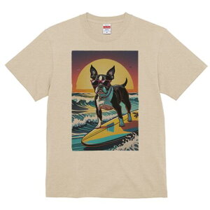 {XgeA TVc fB[X t@  t  vg JWA 킢 lԗp h ̃fUC ʔ TOX {XgeA T[tB C g