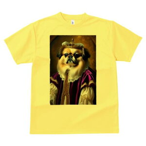 yLj[Y TVc fB[X t@  t  vg JWA 킢 lԗp h ̃fUC ʔ  yLj[Y [u  ё