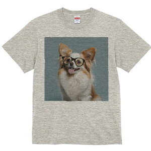 ` TVc Y LbY t@  t  vg JWA 킢 lԗp h ̃fUC ʔ Kl `