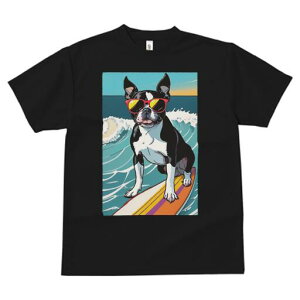 {XgeA TVc fB[X t@  t  vg JWA 킢 lԗp h ̃fUC ʔ TOX {XgeA T[tB g C