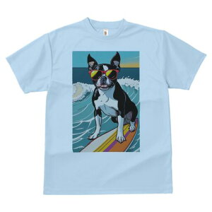 {XgeA TVc fB[X t@  t  vg JWA 킢 lԗp h ̃fUC ʔ TOX {XgeA T[tB g C