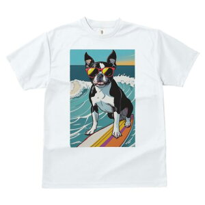 {XgeA TVc fB[X t@  t  vg JWA 킢 lԗp h ̃fUC ʔ TOX {XgeA T[tB g C