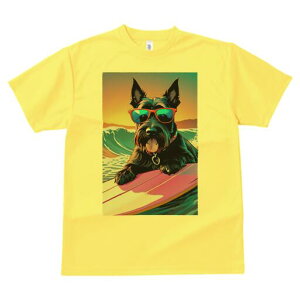 XReBbVeA TVc Y LbY t@  t  vg JWA 킢 lԗp h ̃fUC ʔ TOX XReBbVeA T[tB 