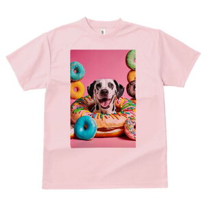 _VA TVc fB[X t@  t  vg JWA 킢 lԗp h ̃fUC ʔ h[ic _VA XC[c fU[g َq