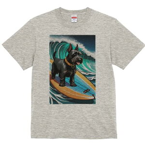 XReBbVeA TVc fB[X t@  t  vg JWA 킢 lԗp h ̃fUC ʔ g XReBbVeA T[t{[h C