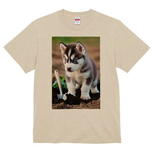 VxAnXL[ TVc fB[X t@  t  vg JWA 킢 lԗp h ̃fUC ʔ Vx VxAnXL[  y