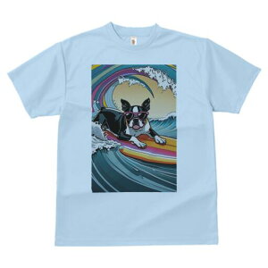 {XgeA TVc fB[X t@  t  vg JWA 킢 lԗp h ̃fUC ʔ g {XgeA T[tB TOX