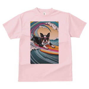 {XgeA TVc fB[X t@  t  vg JWA 킢 lԗp h ̃fUC ʔ g {XgeA T[tB TOX