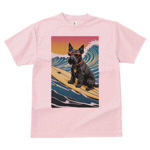 XReBbVeA TVc fB[X t@  t  vg JWA 킢 lԗp h ̃fUC ʔ g XReBbVeA T[tB TOX 