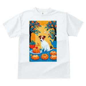 WbNbZeA TVc fB[X t@  t  vg JWA 킢 lԗp h ̃fUC ʔ IW WbNbZeA P[L eB