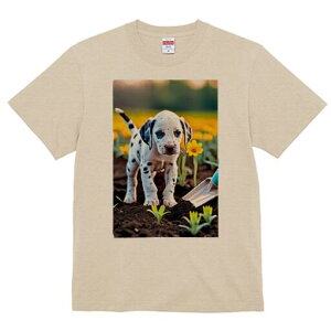 _VA TVc Y LbY t@  t  vg JWA 킢 lԗp h ̃fUC ʔ  _VA  Vx At