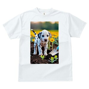 _VA TVc fB[X t@  t  vg JWA 킢 lԗp h ̃fUC ʔ  _VA  Vx At