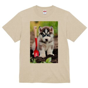 nXL[ TVc fB[X t@  t  vg JWA 킢 lԗp h ̃fUC ʔ Vx nXL[ y