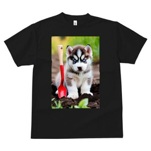 nXL[ TVc fB[X t@  t  vg JWA 킢 lԗp h ̃fUC ʔ Vx nXL[ y