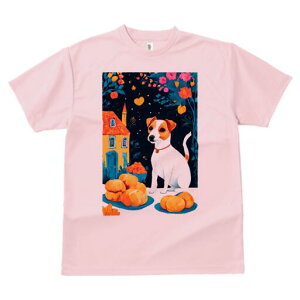 WbNbZeA TVc fB[X t@  t  vg JWA 킢 lԗp h ̃fUC ʔ  WbNbZeA  n[g p