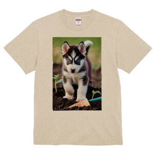 nXL[ TVc fB[X t@  t  vg JWA 킢 lԗp h ̃fUC ʔ y nXL[ A 