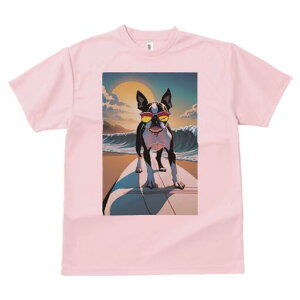 {XgeA TVc fB[X t@  t  vg JWA 킢 lԗp h ̃fUC ʔ T[tB {XgeA C r[` TOX