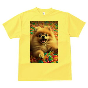 |jA TVc fB[X t@  t  vg JWA 킢 lԗp h ̃fUC ʔ [[r[Y |jA Jt XC[c َq