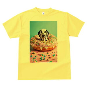 _VA TVc fB[X t@  t  vg JWA 킢 lԗp h ̃fUC ʔ h[ic _VA XvN XC[c fU[g