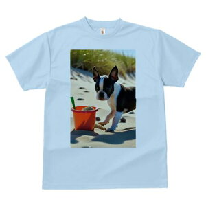 {XgeA TVc fB[X t@  t  vg JWA 킢 lԗp h ̃fUC ʔ l {XgeA oPc XRbv